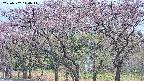 takano3-20250502140046.jpg