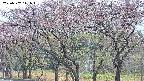 takano3-20250502141044.jpg