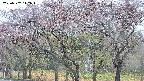 takano3-20250502142043.jpg