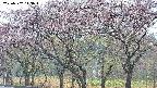 takano3-20250502143045.jpg