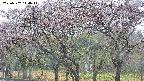 takano3-20250502144046.jpg