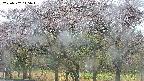 takano3-20250502145043.jpg