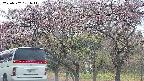 takano3-20250502151042.jpg