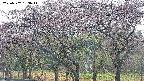 takano3-20250502153045.jpg