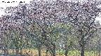 takano3-20250502154044.jpg