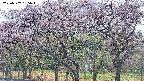 takano3-20250502155045.jpg