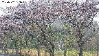 takano3-20250502163046.jpg