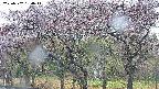 takano3-20250502164046.jpg