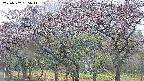 takano3-20250502165046.jpg