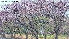 takano3-20250502173046.jpg