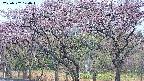 takano3-20250502174045.jpg