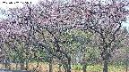 takano3-20250502175045.jpg