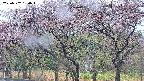takano3-20250502180043.jpg