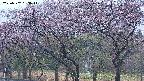 takano3-20250502183043.jpg