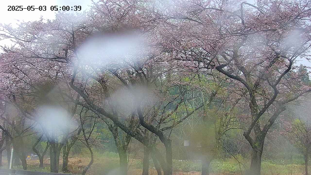 takano3-20250503050041.jpg