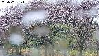 takano3-20250503051042.jpg