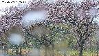 takano3-20250503052042.jpg