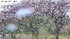 takano3-20250503053043.jpg