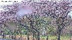 takano3-20250503055043.jpg