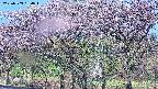 takano3-20250503060044.jpg