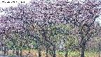 takano3-20250503061043.jpg