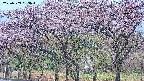 takano3-20250503063043.jpg