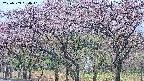 takano3-20250503064042.jpg