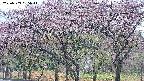 takano3-20250503065042.jpg