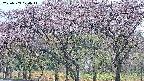 takano3-20250503070042.jpg