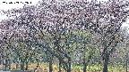 takano3-20250503072043.jpg