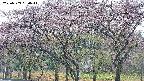 takano3-20250503080042.jpg