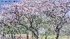 takano3-20250503083044.jpg