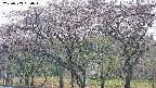 takano3-20250503084043.jpg