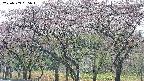 takano3-20250503085043.jpg