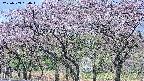 takano3-20250503090044.jpg