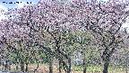 takano3-20250503091043.jpg