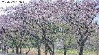 takano3-20250503093045.jpg