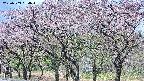takano3-20250503094044.jpg