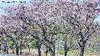 takano3-20250503095042.jpg