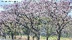 takano3-20250503100044.jpg