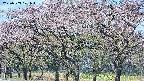 takano3-20250503101045.jpg