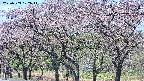 takano3-20250503102042.jpg