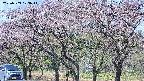 takano3-20250503103046.jpg