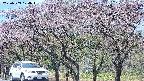 takano3-20250503104043.jpg