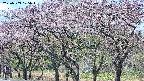 takano3-20250503105044.jpg