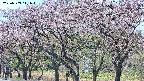 takano3-20250503111043.jpg