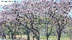 takano3-20250503112043.jpg
