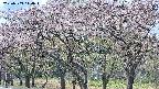 takano3-20250503114044.jpg