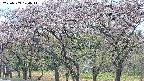 takano3-20250503120042.jpg