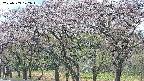 takano3-20250503122043.jpg